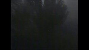 Backrooms 16 - Consolidated movie #2