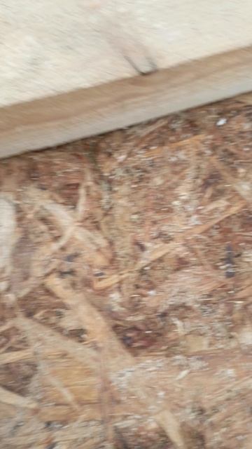 тестирование или нет... смотреть онлайн