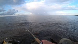 09.08.25. Рыбалка с пирса Северной Ривьеры