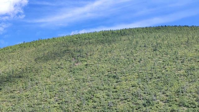 Большой Кепервеем смотреть онлайн