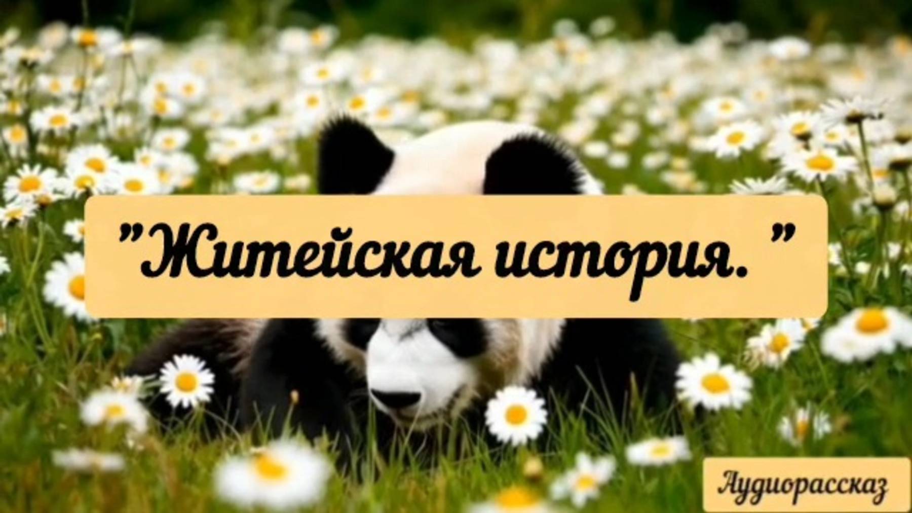 Жизнь сама иногда такие сюжеты подкидывает.