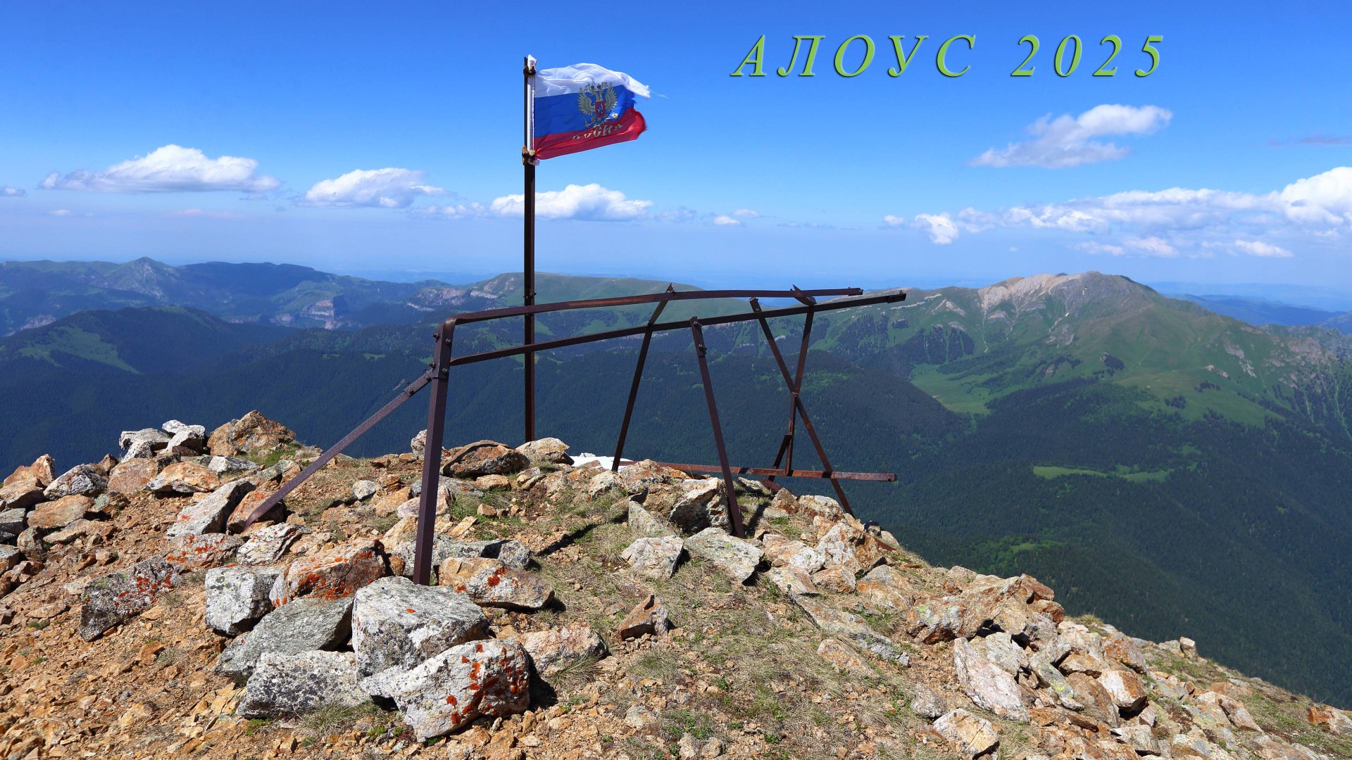 Алоус 2025