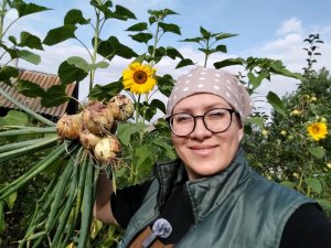 что делать с грядкой лука после уборки, чтобы земля была плодородной