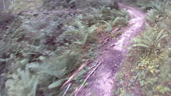 домашний трек. Hengjian s7 z300 2t. 3