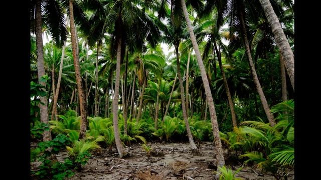 Здание 1. Природные зоны