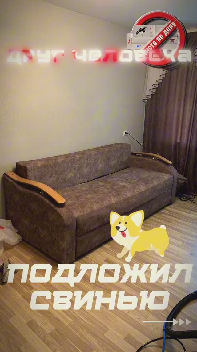 Выведение мочи с дивана