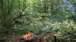 Чистка жабьей порчи,присосок ,и снятие ожирения