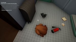 Валера﹥ опять с лысым