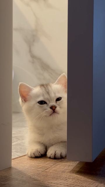 Каспер день 1