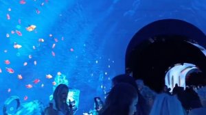 Парк Облаков Краснодар - Парк Галицкого 09.08.2025 год . Афигенные места.