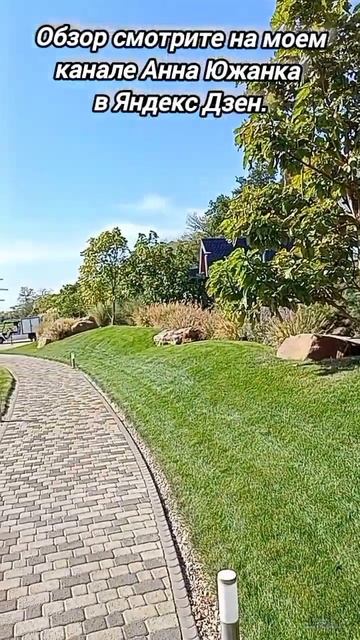 Конно-спортивный клуб Golden Horse, город Таганрог. смотреть онлайн