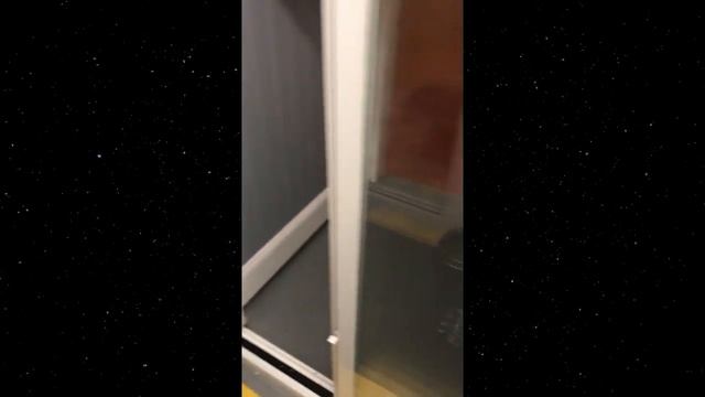 Хозяин ОСТАВИЛ собаку у грумера, но так и НЕ ВЕРНУЛСЯ за ней...