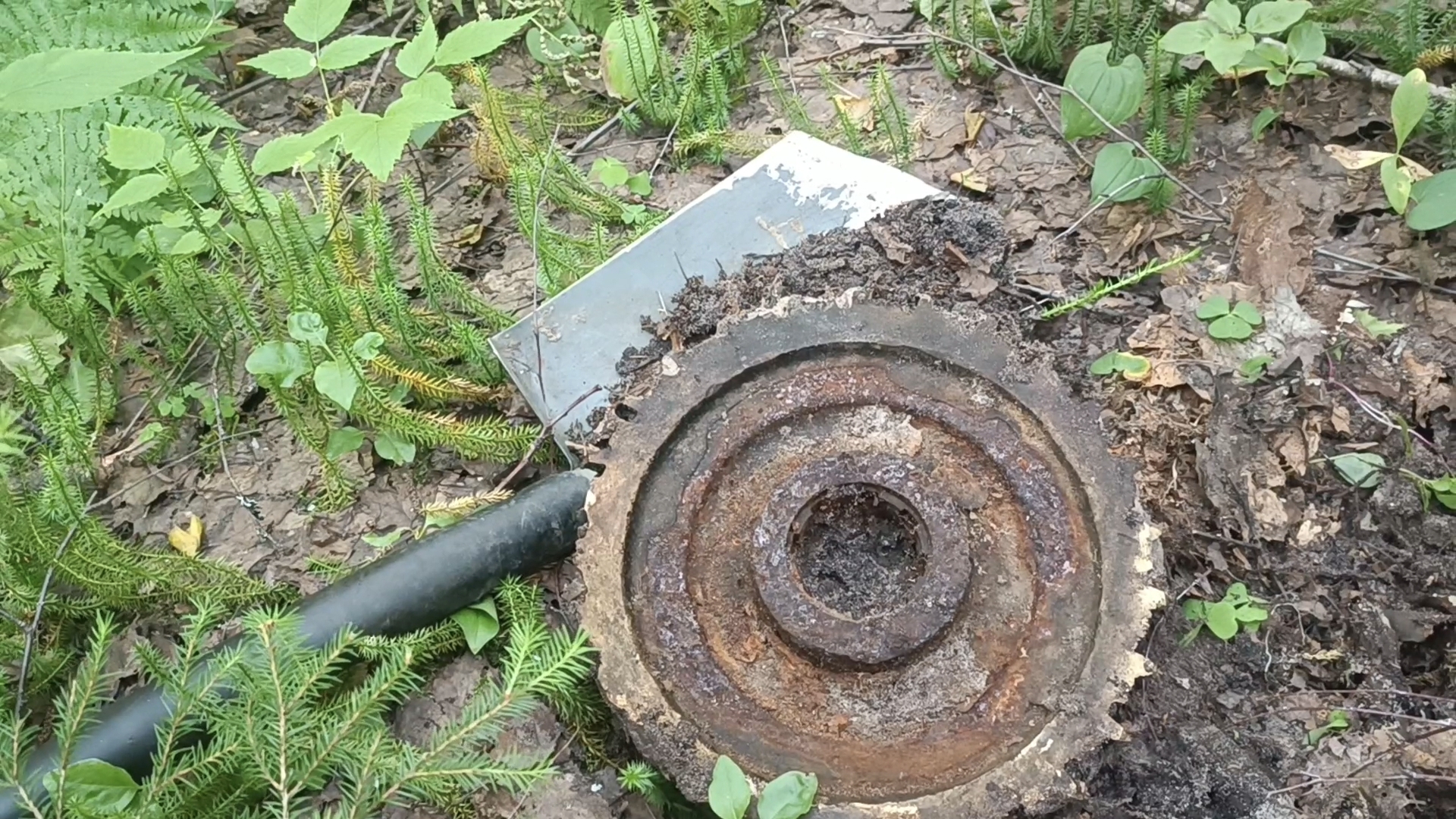 ВЫВОЖУ С ДЕЛЯНКИ МЕТАЛЛ . НАШЁЛ ЕЩЁ ДВЕ БРОНЗОВЫХ ШЕСТЕРНИ !!!