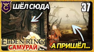 КАК Я ЗАБЛУДИЛСЯ И ПОБЕДИЛ 3 БОССОВ 37 ELDEN RING Самурай