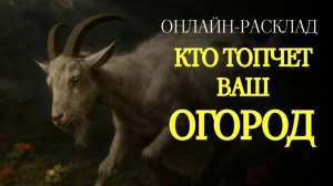 КТО ПЫТАЕТСЯ ВМЕШАТЬСЯ В ВАШУ ЖИЗНЬ?  ОНЛАЙН-РАСКЛАД ТАРО