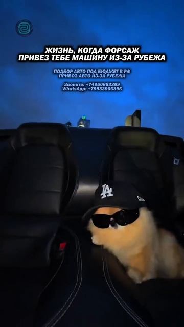 ПРИВОЗ АВТО - ЯПОНИЯ, КОРЕЯ, КИТАЙ, США#автоподбор #автоприколы #автоюмор #автомобили #купитьавто смотреть онлайн