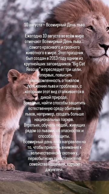 Праздник смотреть онлайн