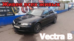Опель Вектра Б. Спустя 3 года комы живее всех живых.