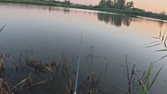 Выбрался на рыбалку на ставок за долгое время! Рыбалка на удочки с поплавком!