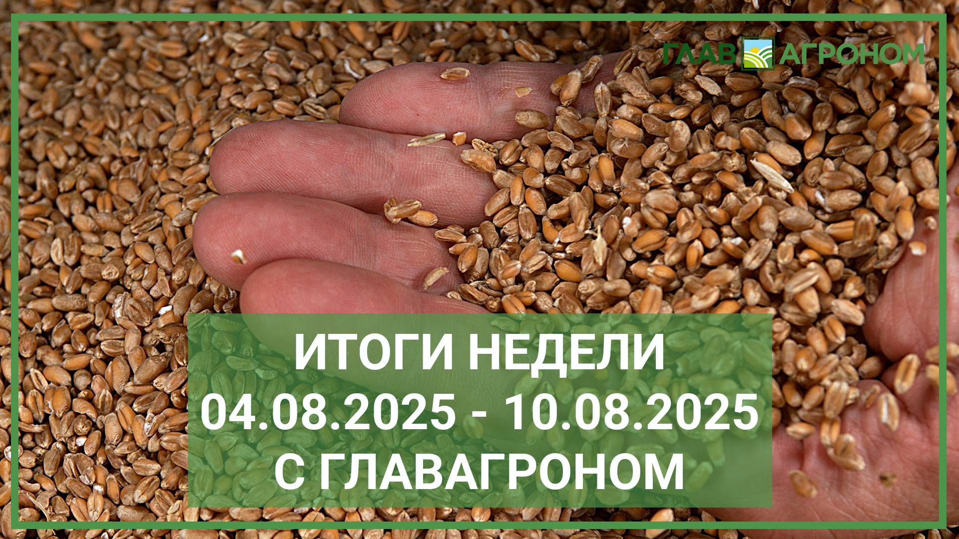 Итоги недели с ГлавАгроном. 04.08.2025 - 10.08.2025