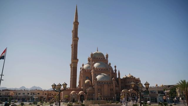 DAVRON EGYPT смотреть онлайн