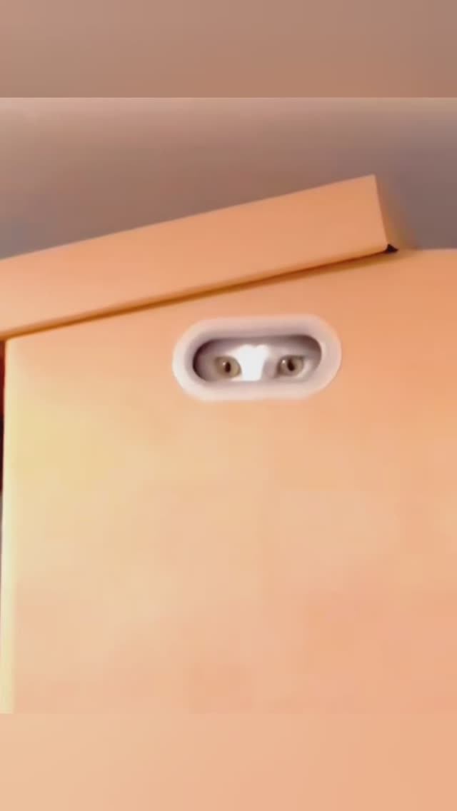 СБОРНИК СМЕШНЫХ ВИДЕО №1 смотреть онлайн