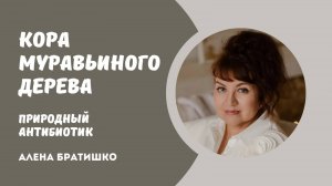 Кора Муравьиного Дерева - природный антибиотик. Когда и зачем принимать? Алена Братишко
