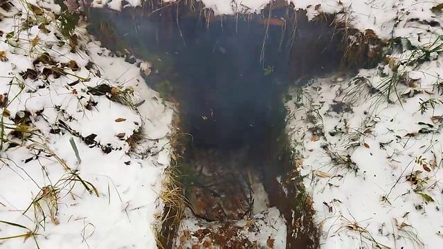 11 октября 2024 г. смотреть онлайн