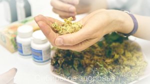 ЛУЧШИЕ СТАРИННЫЕ РЕЦЕПТЫ ЗОЖ