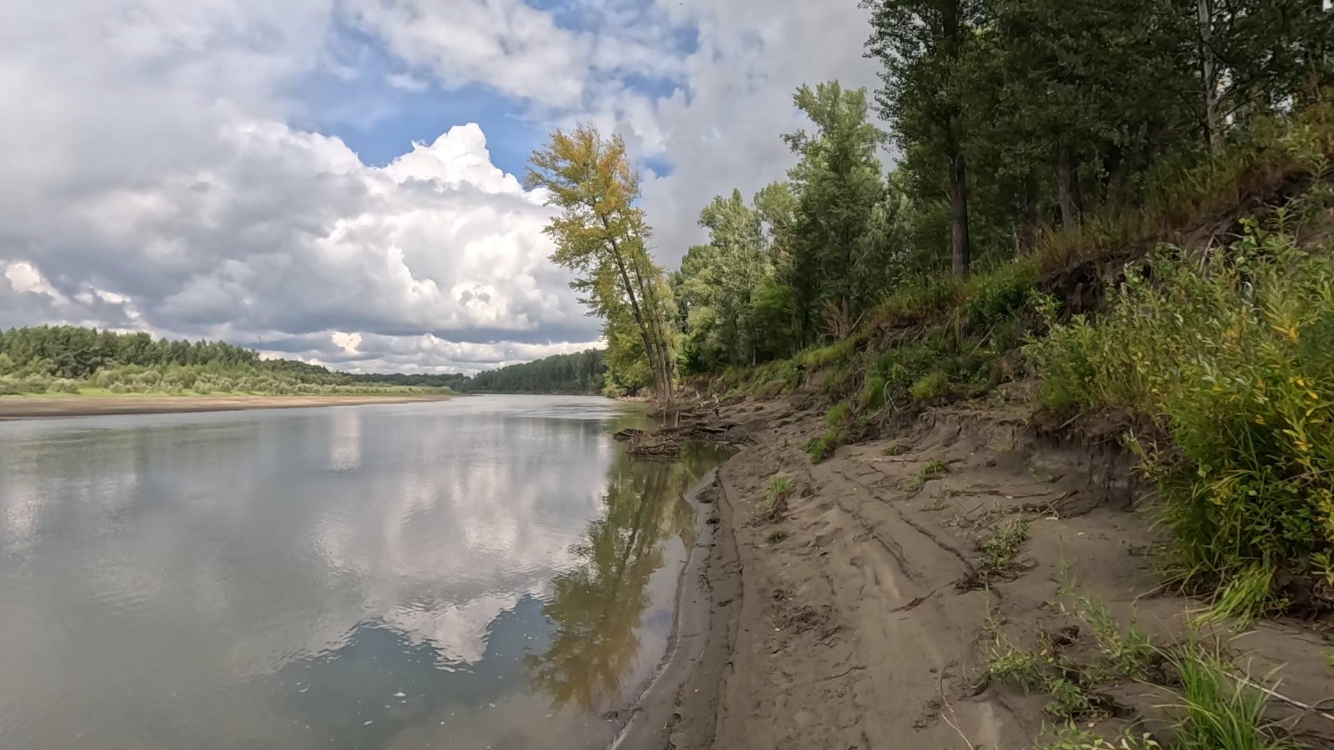 РЫБАЛКА НА ОБИ. ПОИСК ЗУБАСТОЙ В ПРОТОКЕ. смотреть онлайн