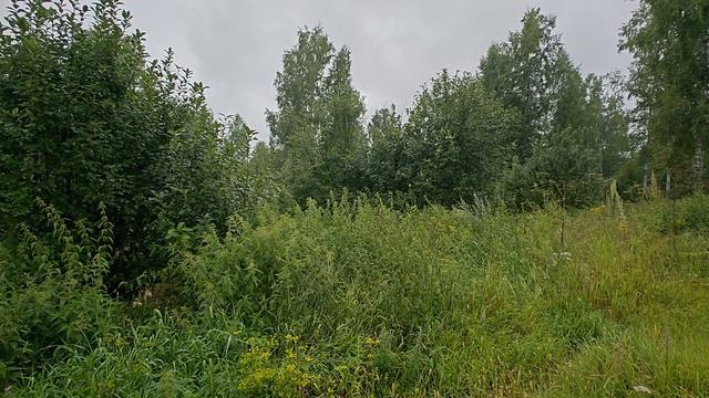 10-08-2025 смотреть онлайн
