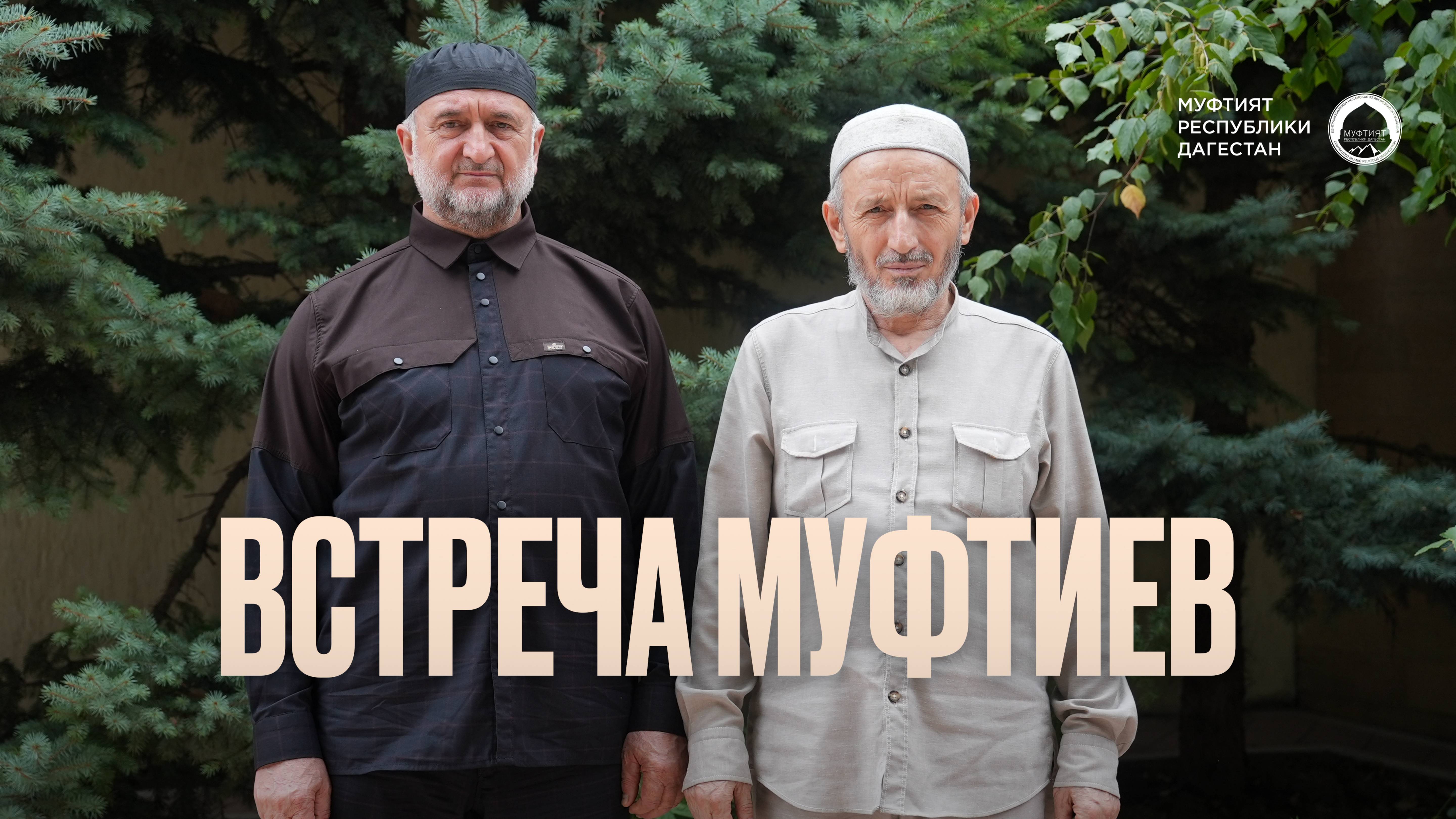 ВСТРЕЧА МУФТИЕВ смотреть онлайн