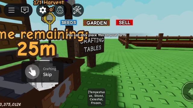 ночное видео