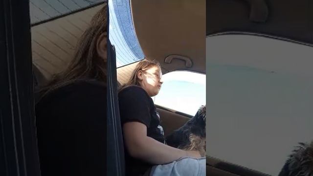 и смотреть онлайн