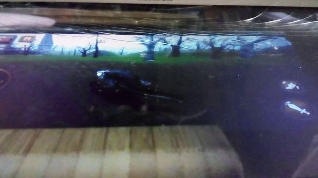 Нильский крокодил спешит к воде от хищников. Играем в симулятор нильского крокодила.