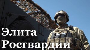 Специальный репортаж. Работа элитного подразделения Росгвардии