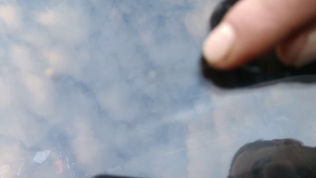 заделать трещину на лобовом стекле можно или нет чтоб её не видно было смотреть онлайн