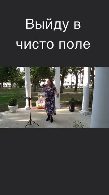 Песня Выйду в чисто поле группы Воплощение Мечты автор Анна Богатырева смотреть онлайн