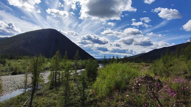 Чукотка смотреть онлайн