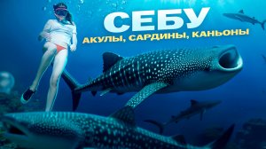 Себу | Филиппины - как самому увидеть акул, сардин и пройти каньонинг? Все о Себу в этом выпуске
