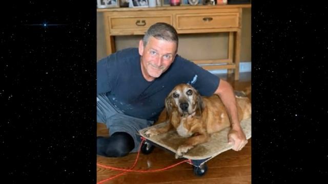 Собаке стало трудно ходить и вот что сделал хозяин... теперь питомица не нарадуется!