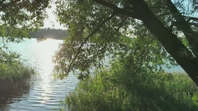 Олeньи выхoдныe часть 9 смотреть онлайн