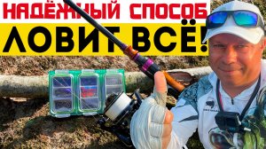 МОРМЫШИНГ: Забродная Ловля ХАРИУСА и ФОРЕЛИ. Проверенные методы! #рыбалка #хариус #форель #окунь