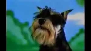 Реклама Chappi 2002-2003