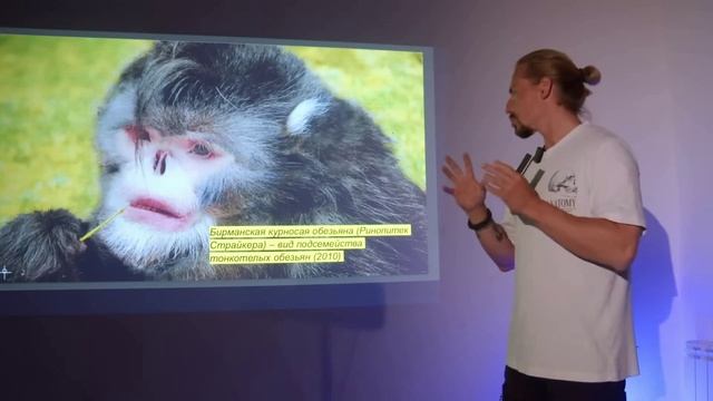 Снежный Человек, Чупакабра и Несси. Криптозоология. Какие звери не прячутся от людей. смотреть онлайн