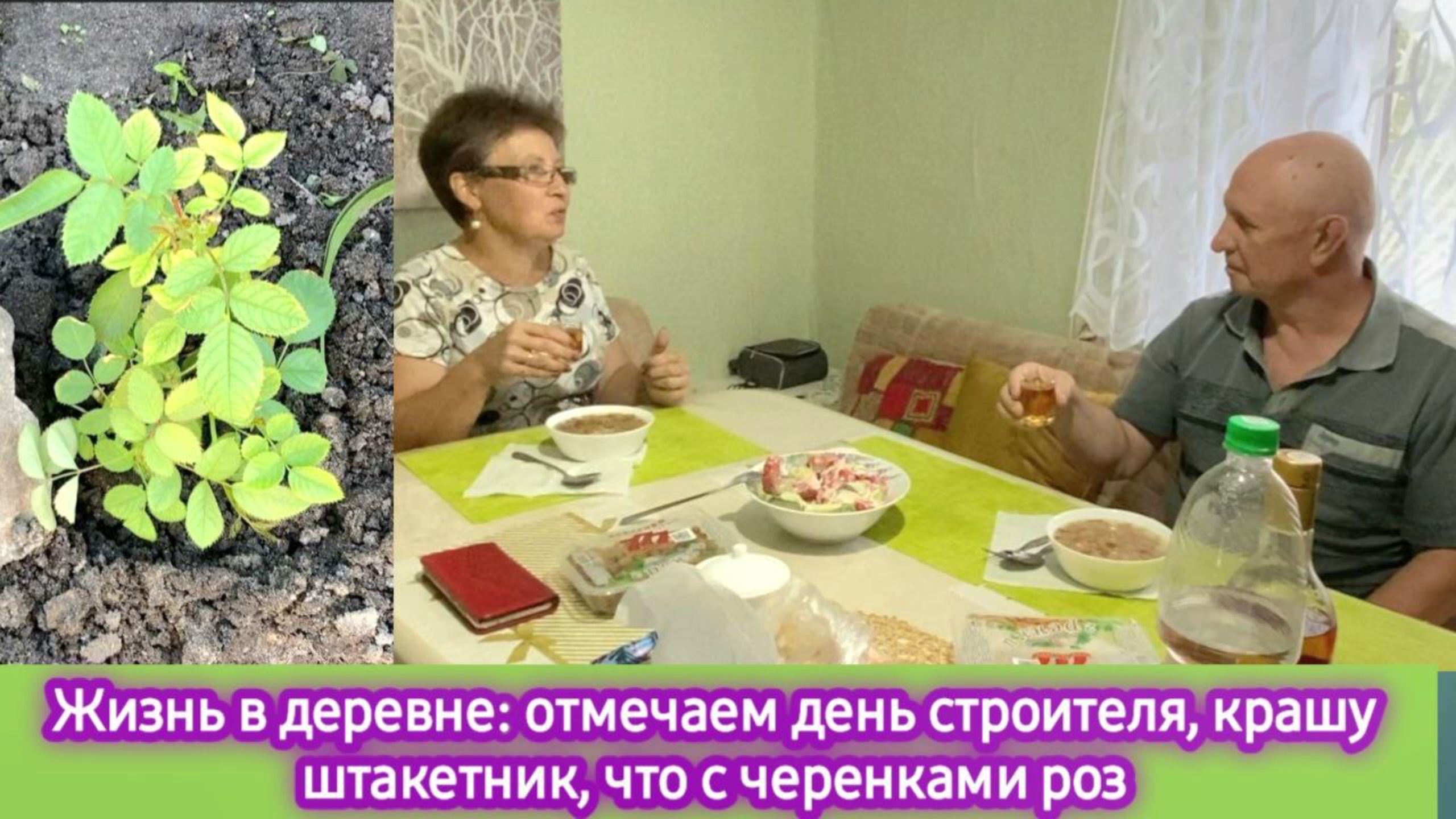 Жизнь в деревне: отмечаем день строителя. Крашу штакетник. Что с черенками роз смотреть онлайн