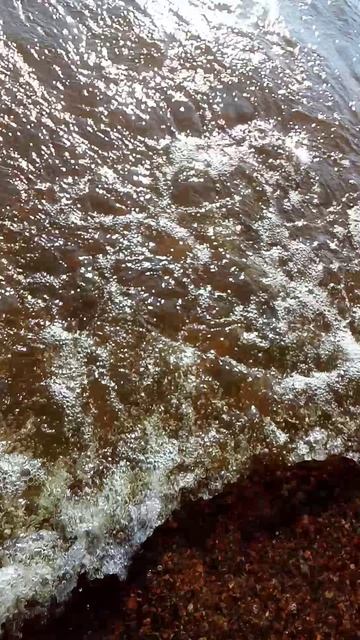 искупался в финском заливе смотреть онлайн