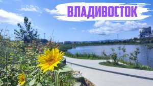 Владивосток август 2025