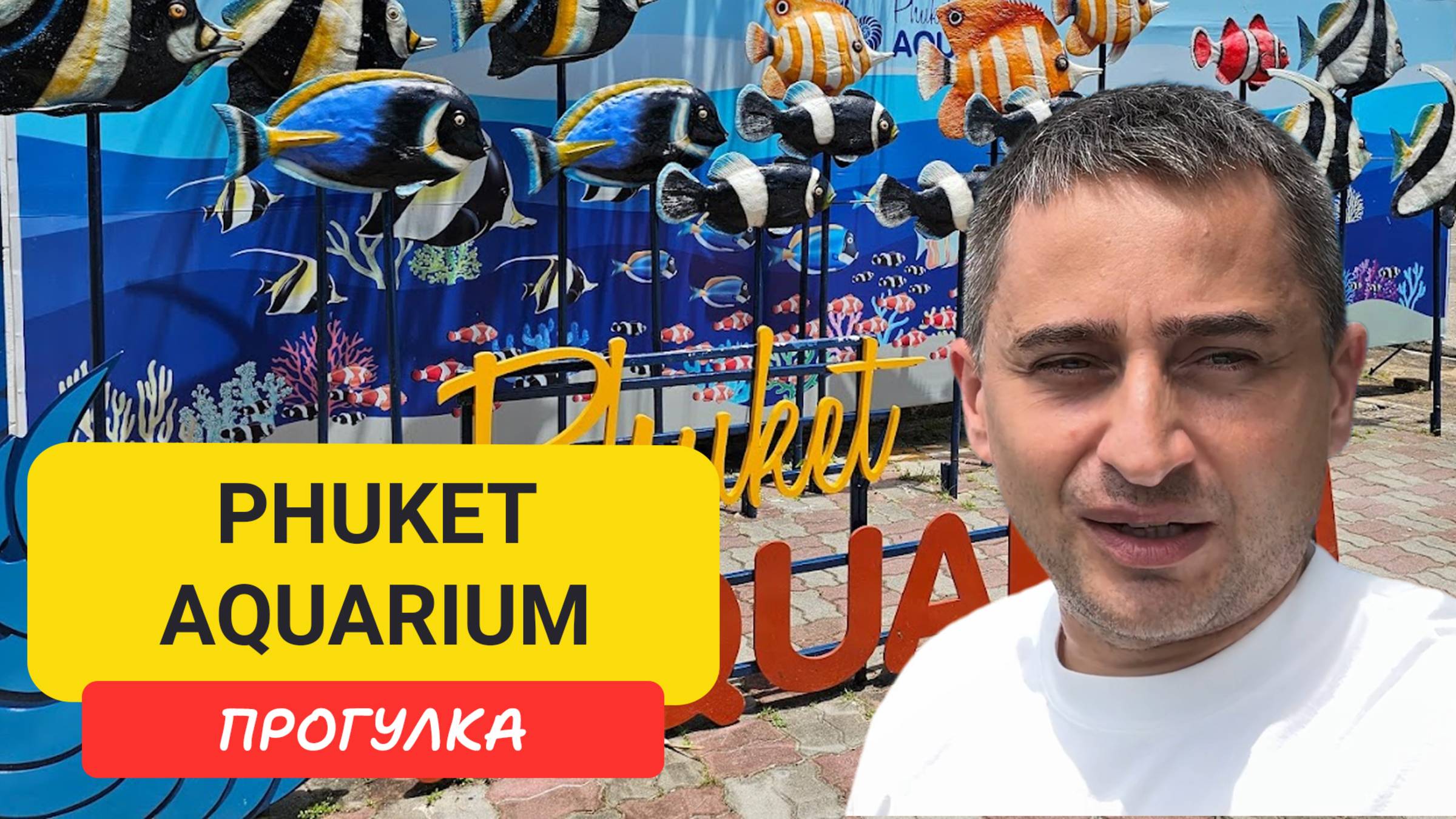 Phuket Aquarium на мысе Панва: акулы, черепахи и морские приключения для всей семьи