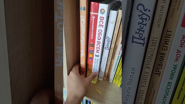 Разбор шкафа дома у нейропсихолога часть 5 (энциклопедии)